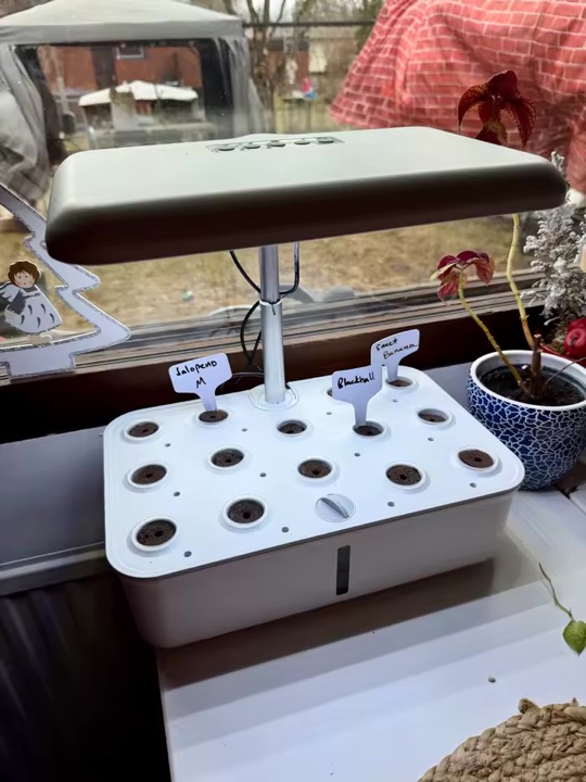 Growly installé près d'une fenêtre avec des semis identifiés